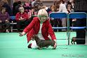 Crufts2011_2 1437